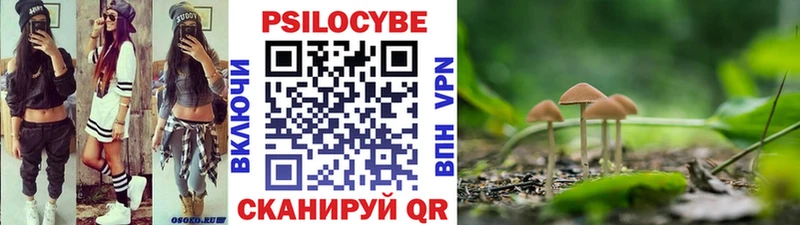 Псилоцибиновые грибы Psilocybine cubensis  blacksprut зеркало  Холмск 